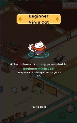 猫忍者学校