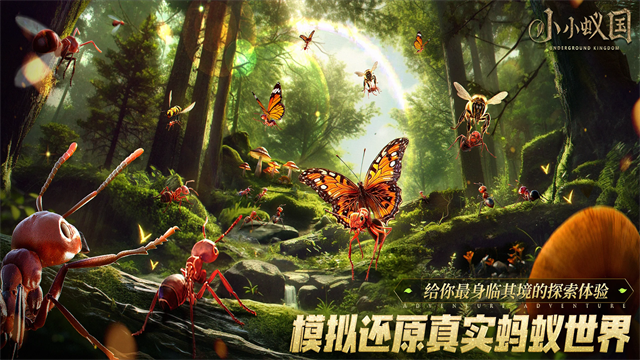 蚂蚁地下王国无限钻石版