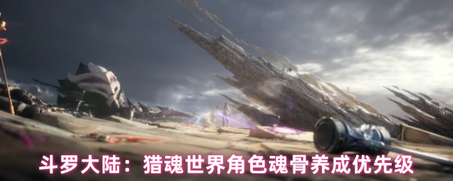 斗罗大陆:猎魂世界角色魂骨养成优先级