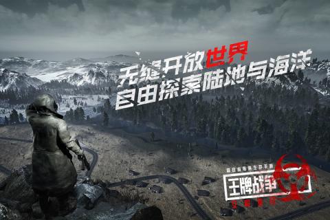 代号hero苹果版