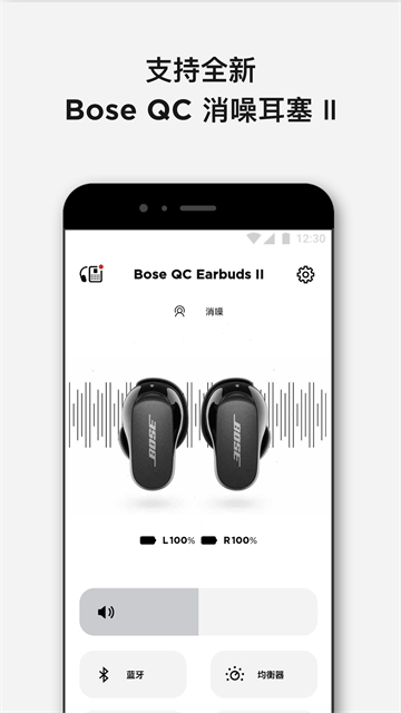 bosemusic