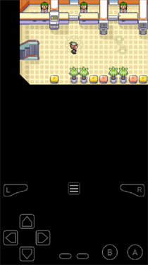 口袋妖怪节操传奇