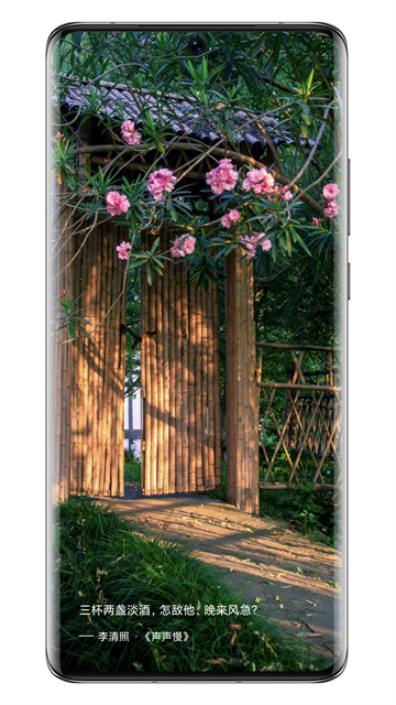 西窗烛app2025最新版