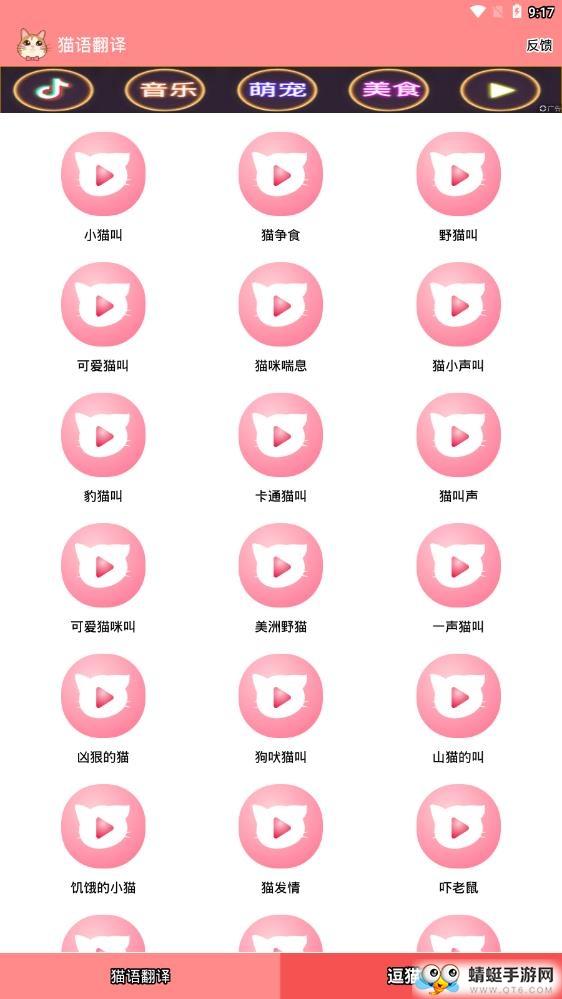 猫语翻译